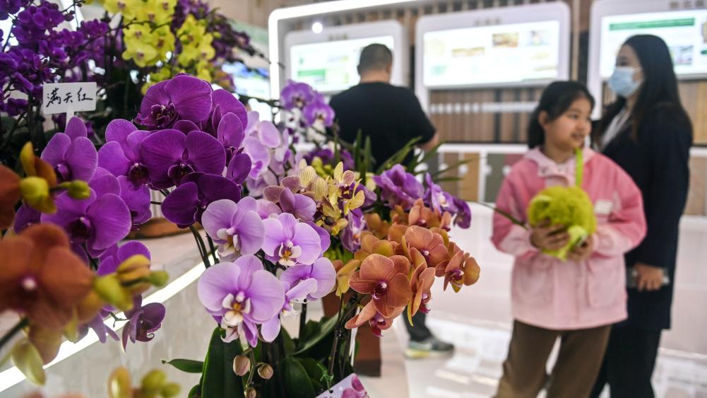 世界林木業大會舉行公眾開放日活動