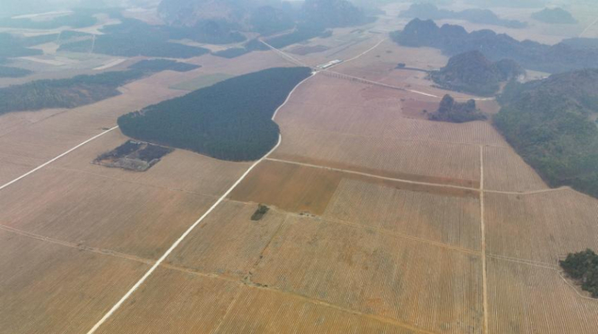 扶綏：不負春光 搶抓農時忙春耕