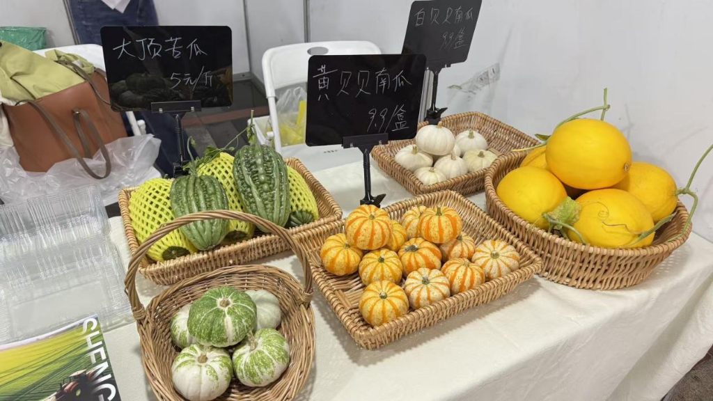 南寧市青秀區開展金秋供銷大集活動促消費幫扶