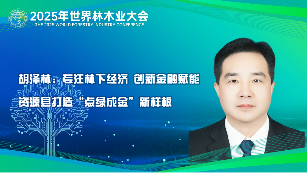 胡澤林：專注林下經濟 創新金融賦能 資源縣打造“點綠成金”新樣板