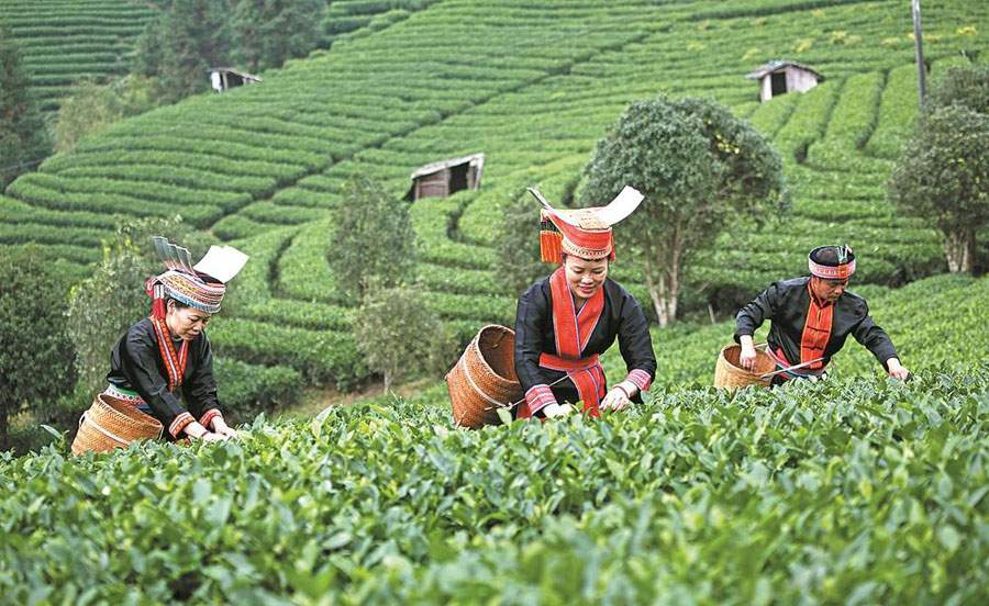 勇立潮頭風帆勁 向穩圖強擘華章