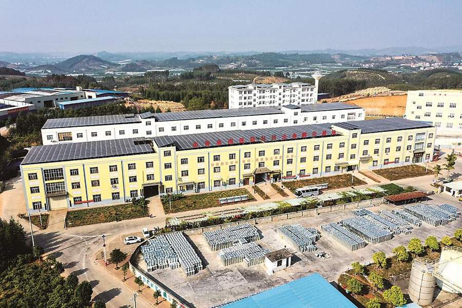 特色產業激活鄉村振興“新引擎”